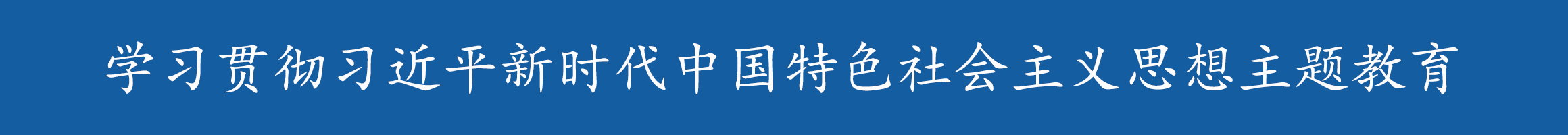 学习贯彻习近平新时代中国特色社会主义思想主题教育