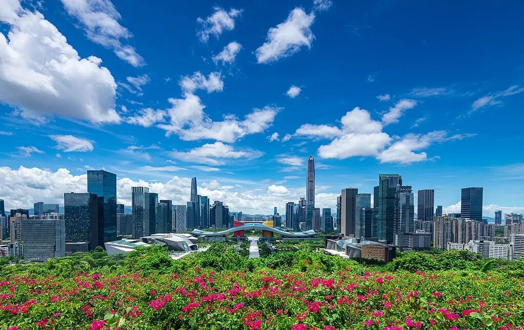 深圳市封面图.jpg